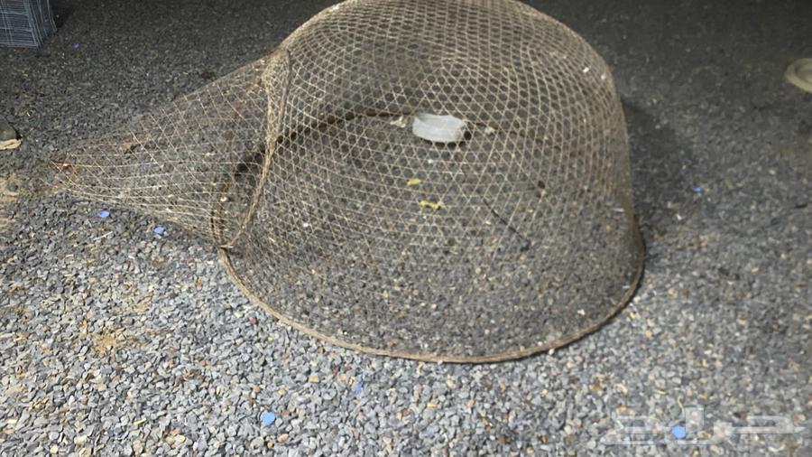 شبك للبيع64385691199490114