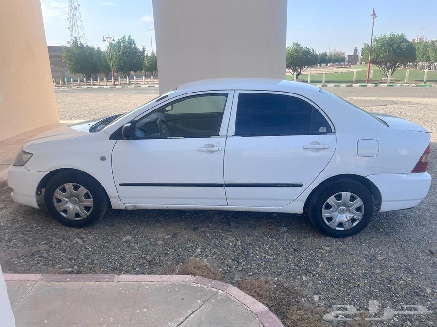 كوريلا موديل 200264387648733570111