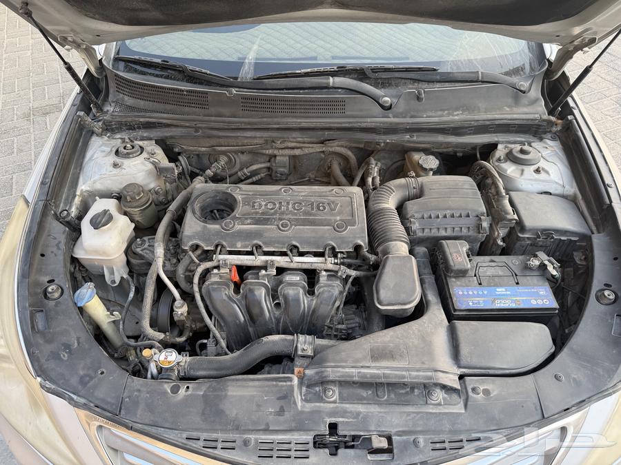 نص فل ماشية 230 البدي في حكات لا يخلو من سمكره64393293794049114