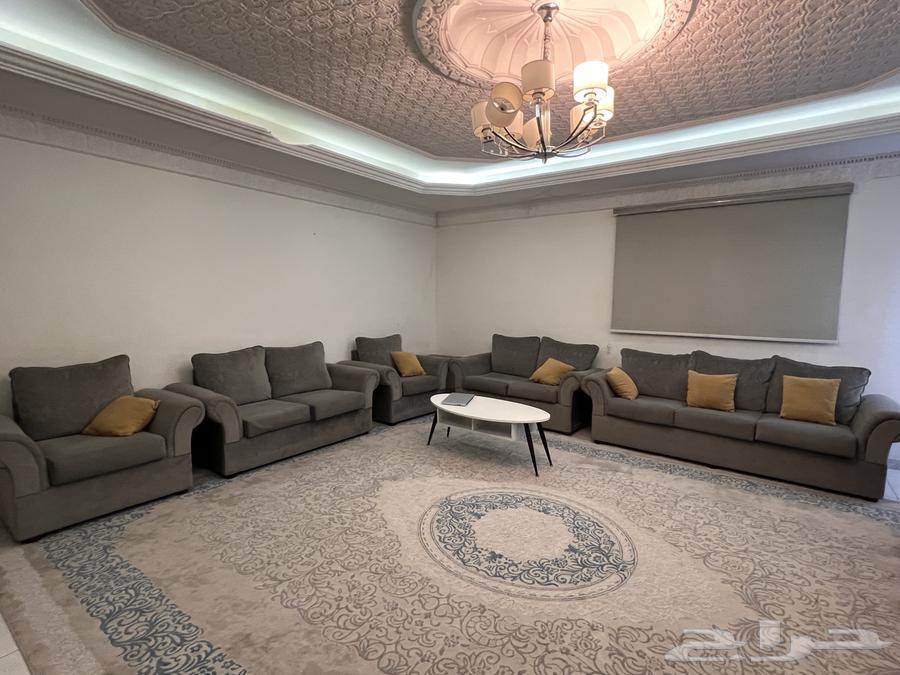 Gray sofa64199226030721110