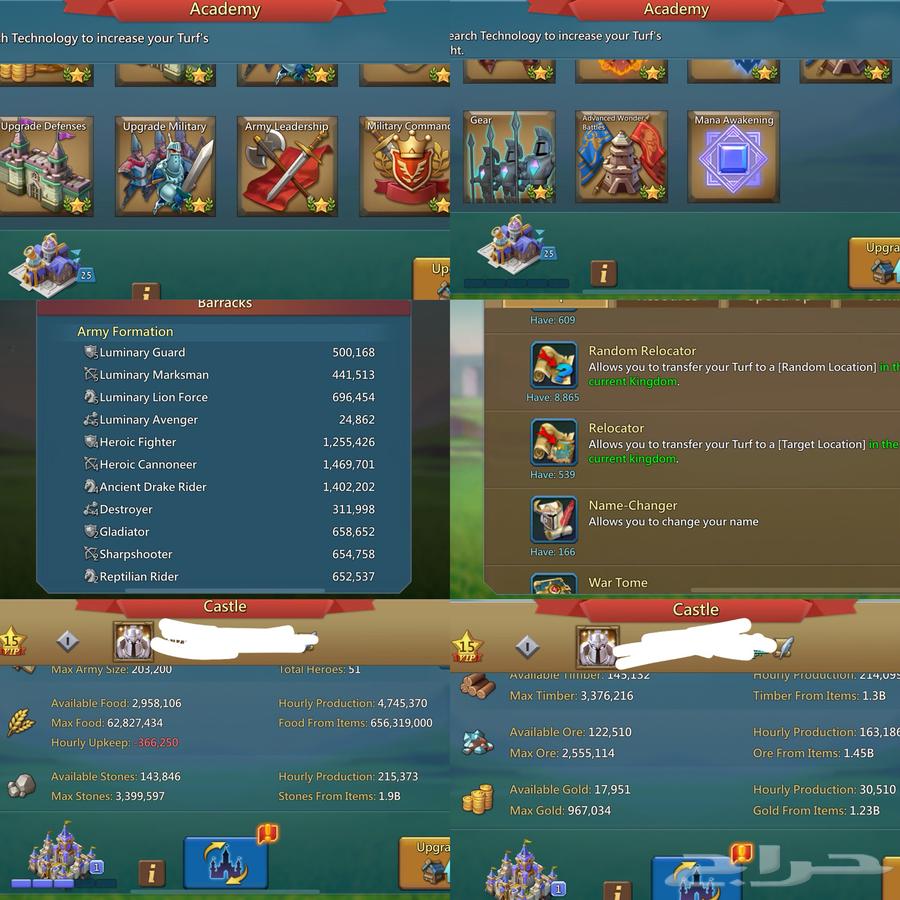 قائد حشد لوردس موبايل64180154219522110