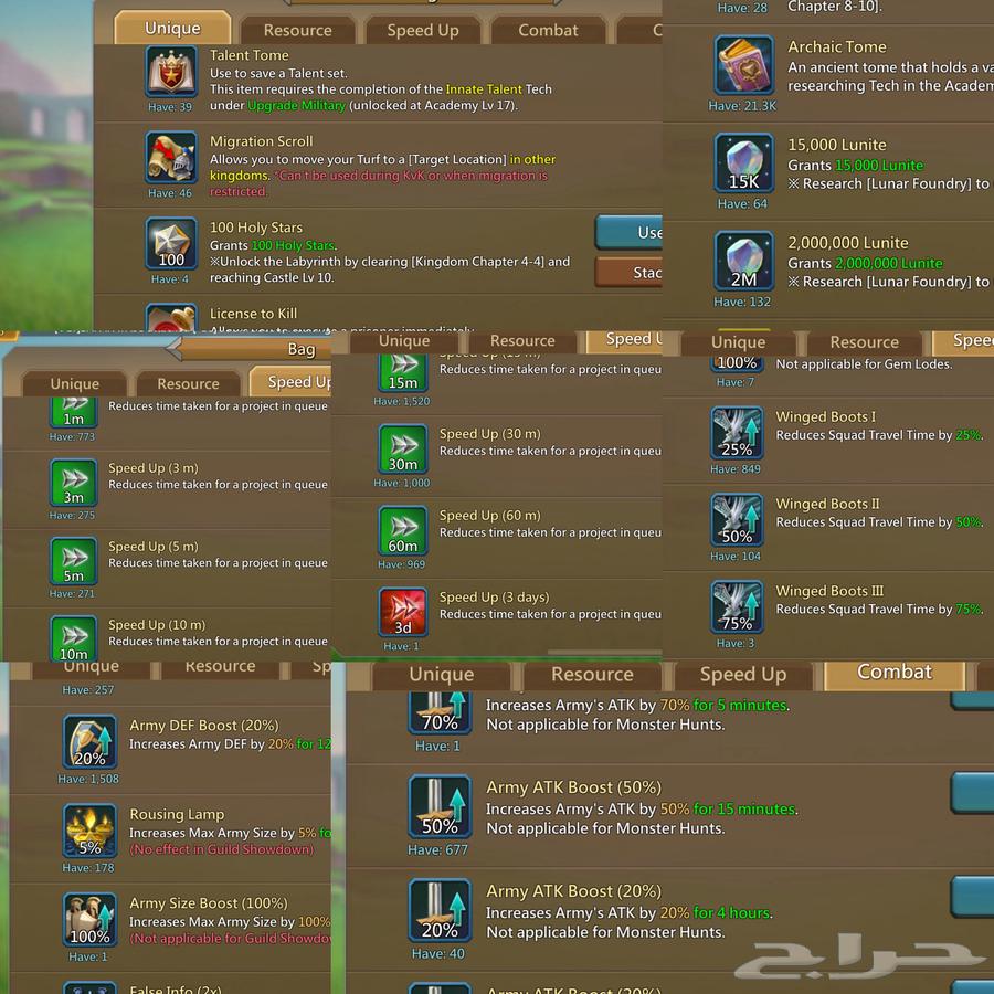 قائد حشد لوردس موبايل64180154219522111