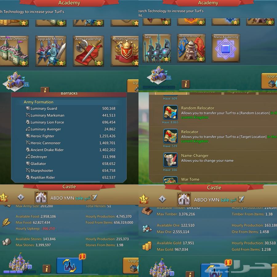 قائد حشد لوردس موبايل64180154219522114