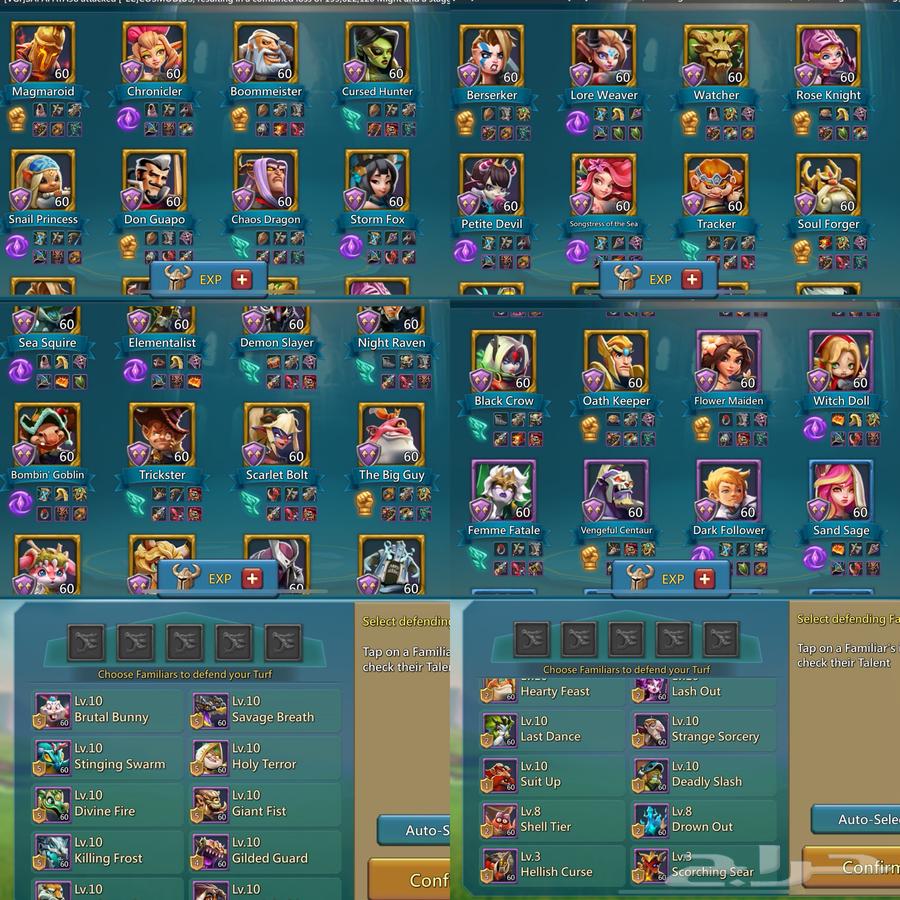 قائد حشد لوردس موبايل64180154219522112