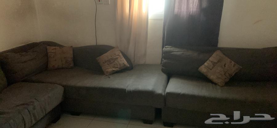 كنب صالة مستعمل شكل L64188549847937112