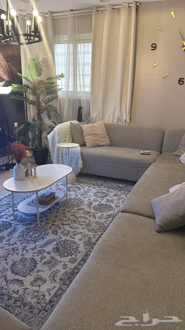 Sofa64178516663043110