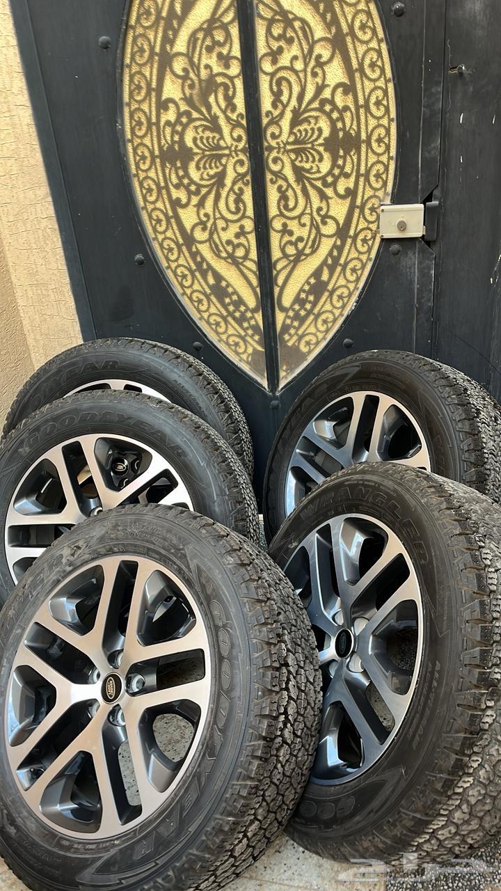 جنوط ديفندر64386863759491111