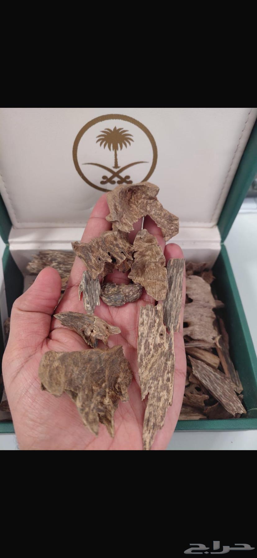 عود ماليزي سوبر مرتفع و دبل64185497832195113