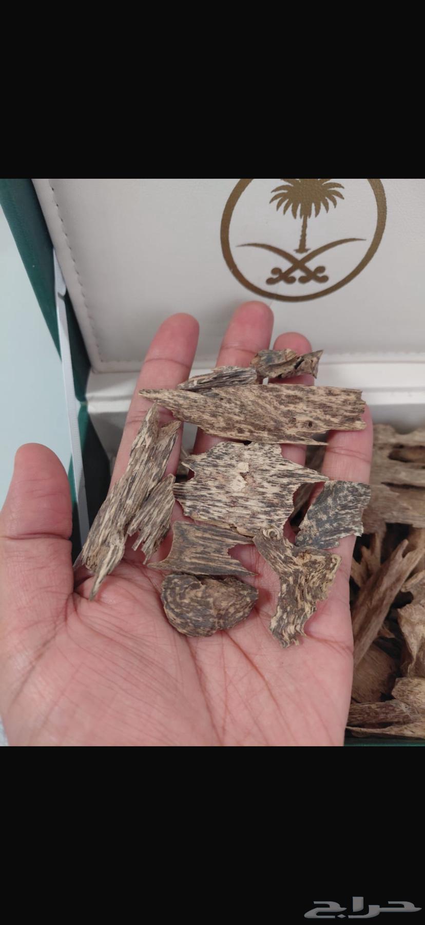 عود ماليزي سوبر مرتفع و دبل64185497832195110