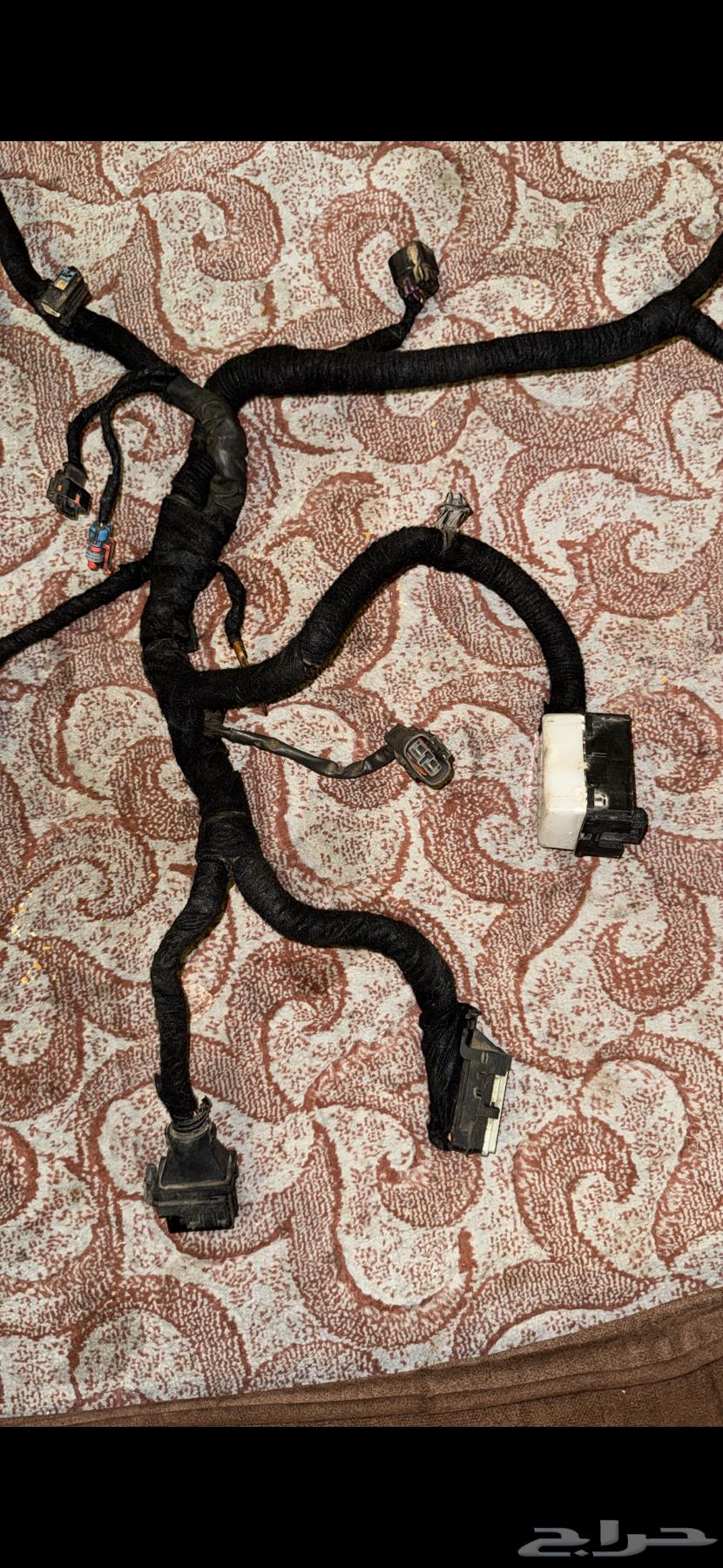 للبيع ضفيره ظفيره كابرس 201364347676441602112