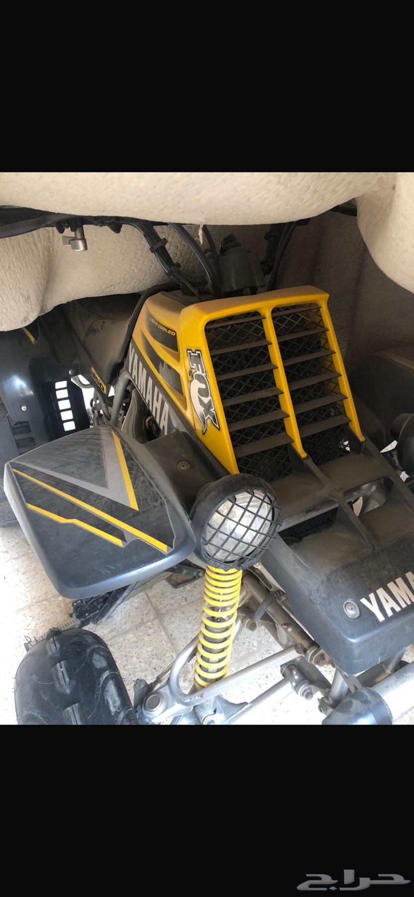 مطلوب بانشي64385691191809110