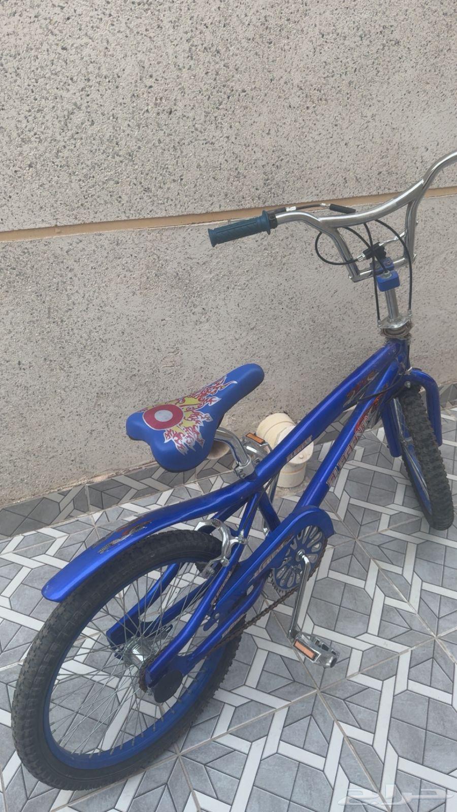 سيكل كوبرا ازرق64193962505218111