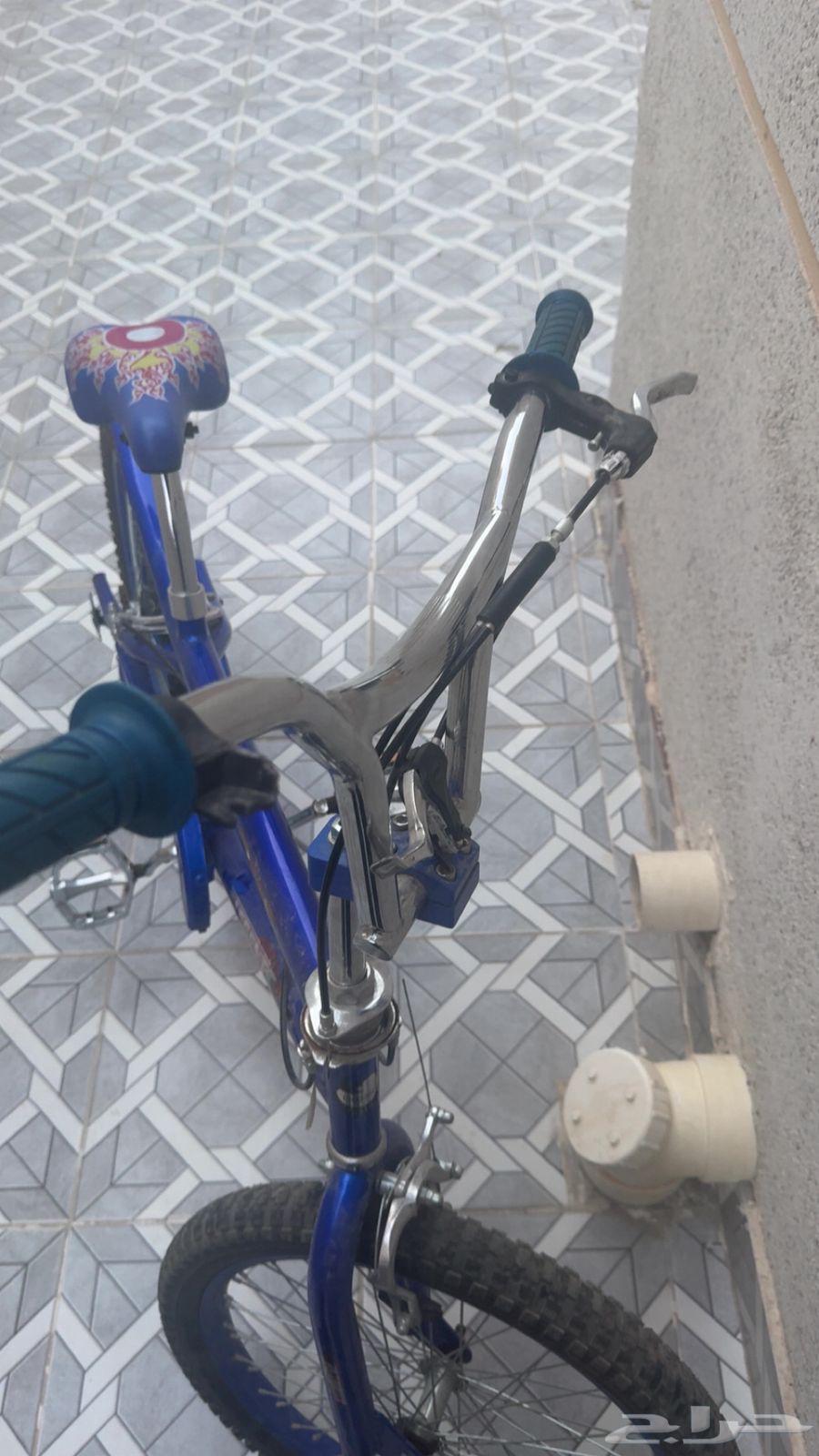 سيكل كوبرا ازرق64193962505218112