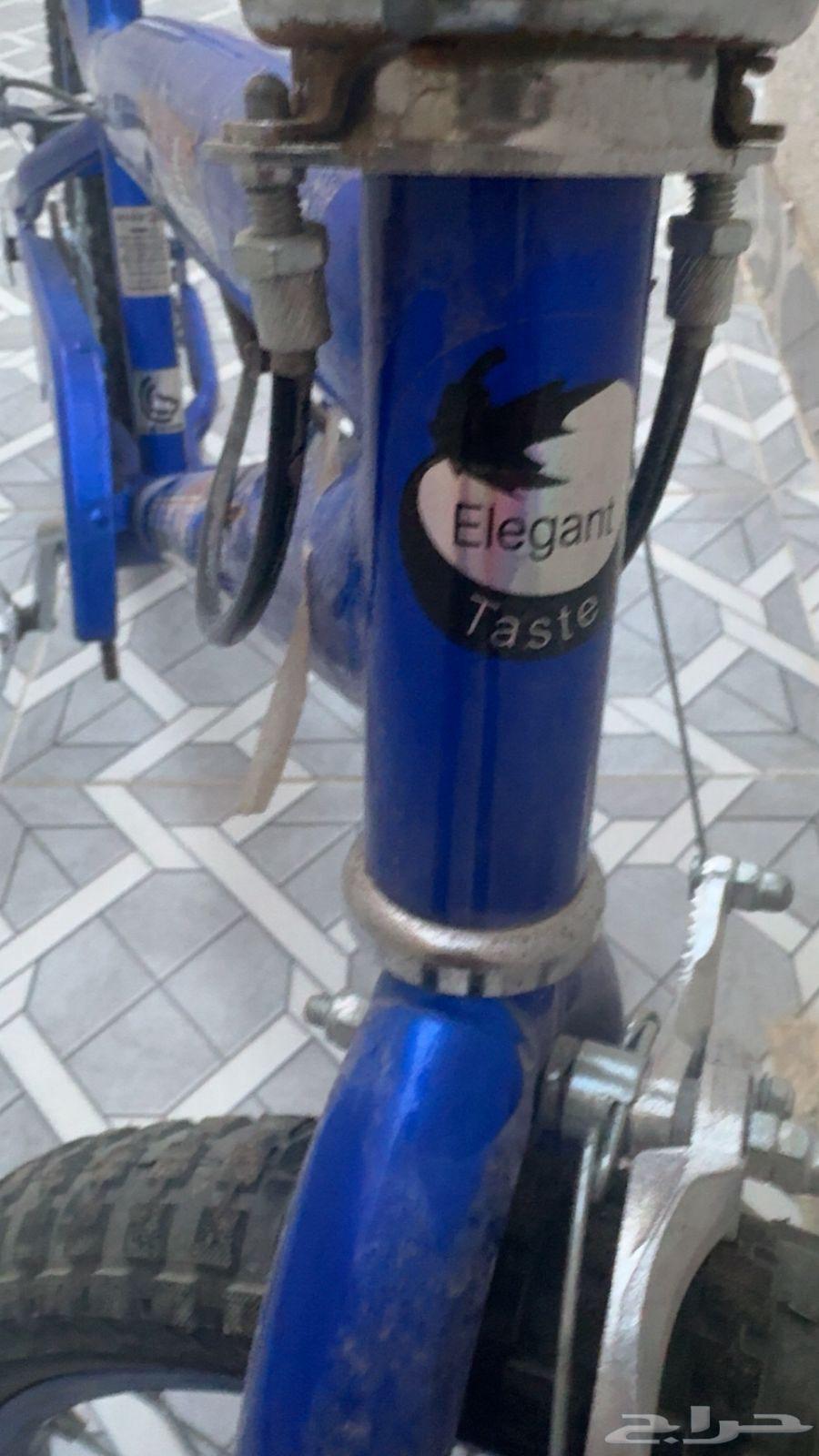 سيكل كوبرا ازرق64193962505218113