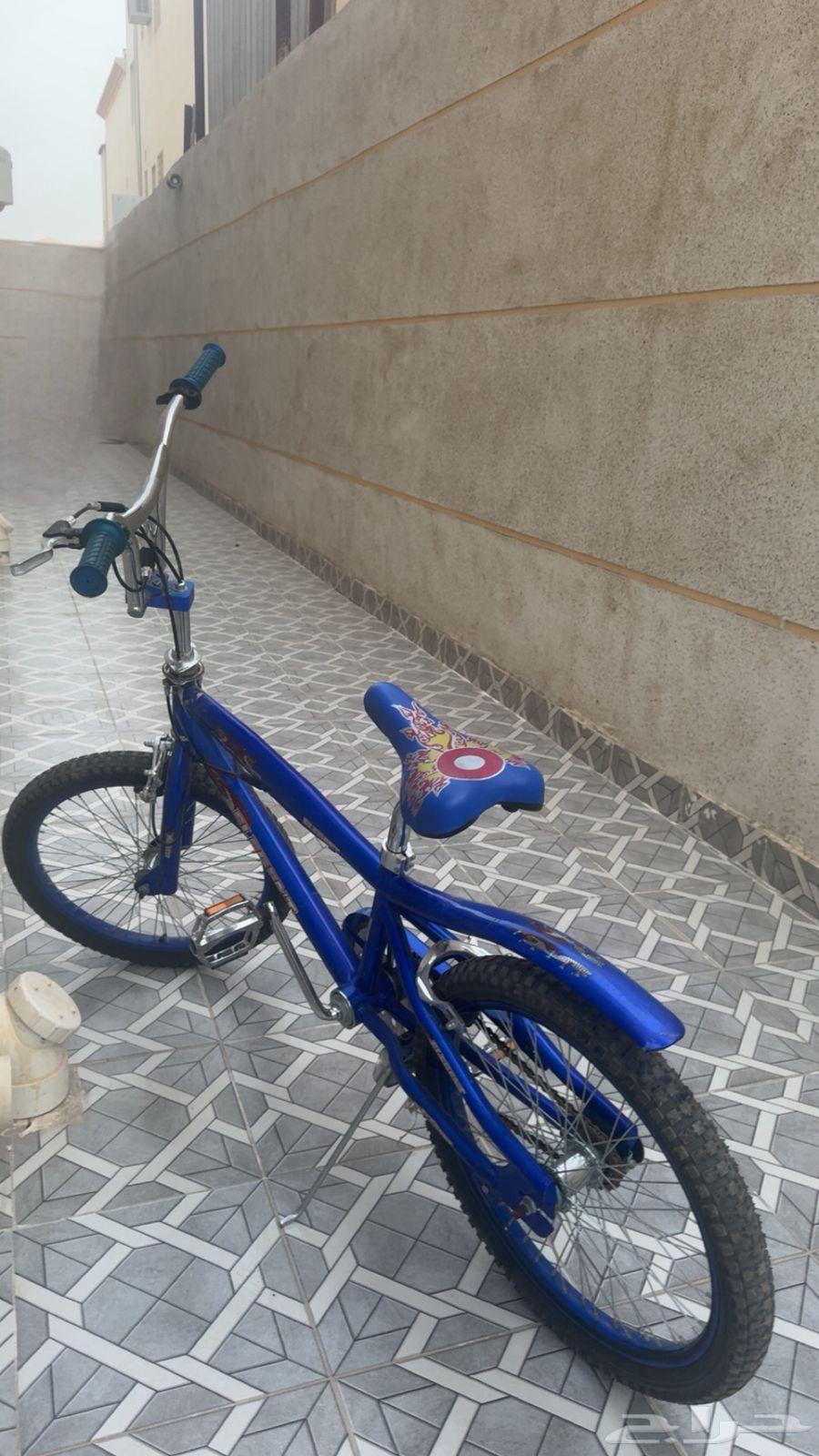 سيكل كوبرا ازرق64193962505218110