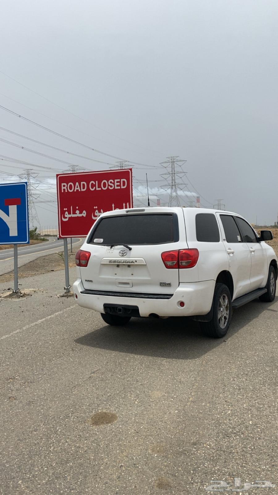 Skoya 2009 without dub64394080678657110