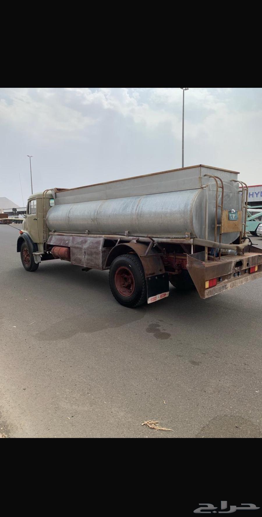 White Jaffali bus64385523234434113