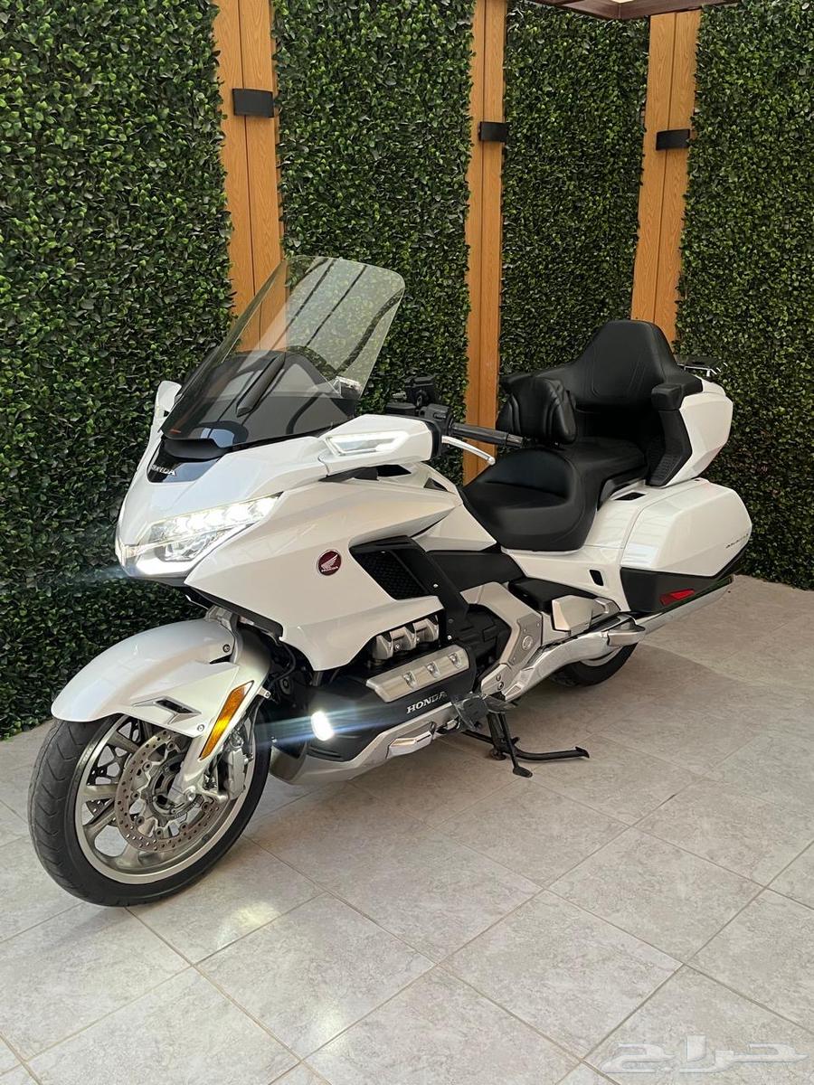 جولد وينق 201864386346943747112