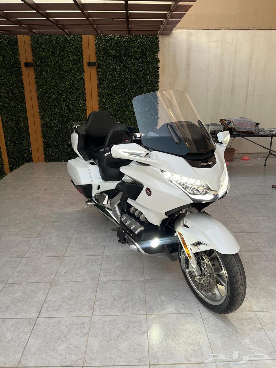 جولد وينق 201864386346943747111