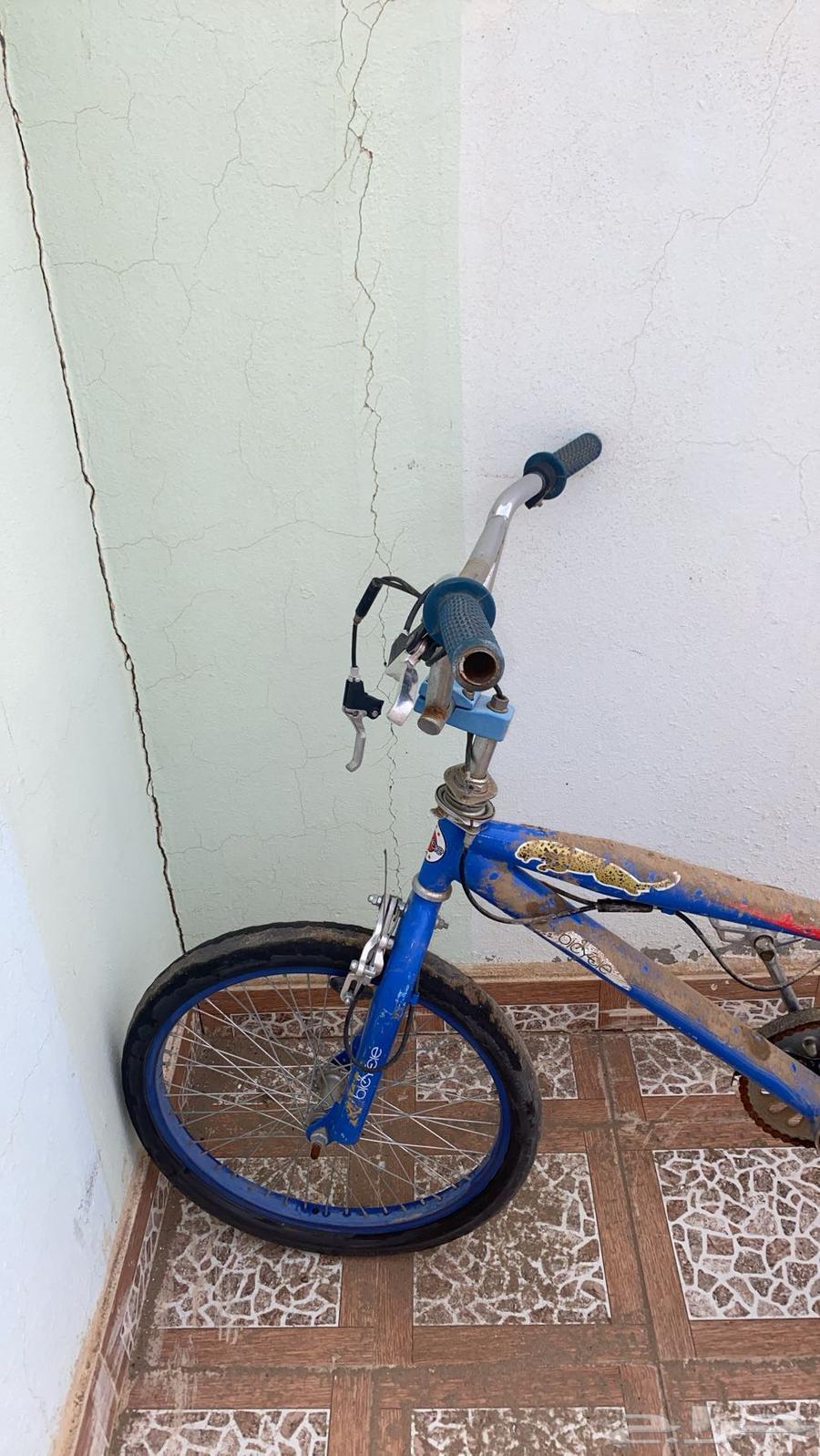 سيكل كوبر ا مقاس 2164222543665665111