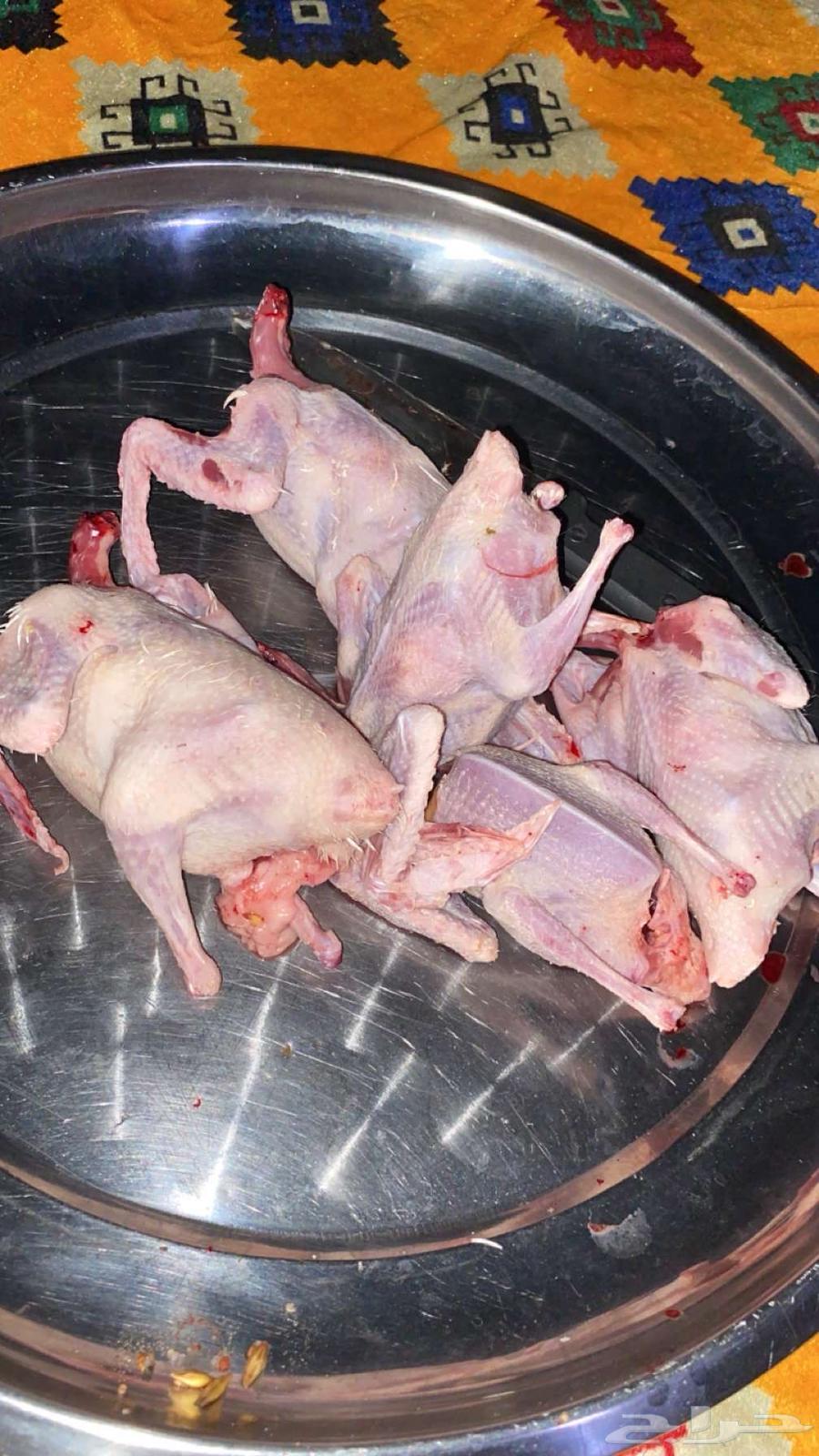 للبيع حمام فرنسي شرط64215388018178110