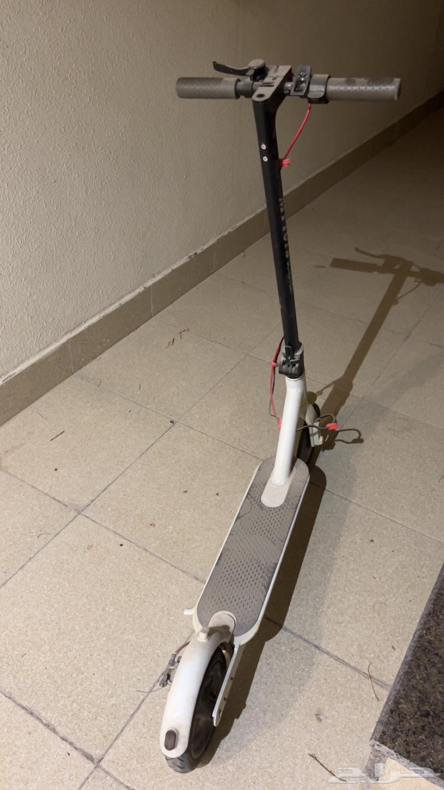 Scooter64226758051969110