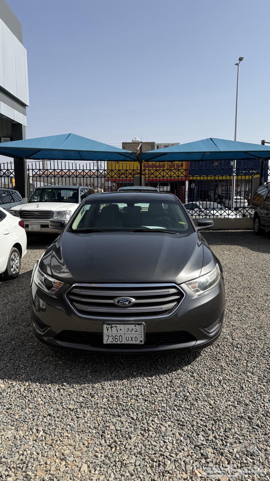 توروس 2019 ( معرض أمجاد الصقري )64397617177858111