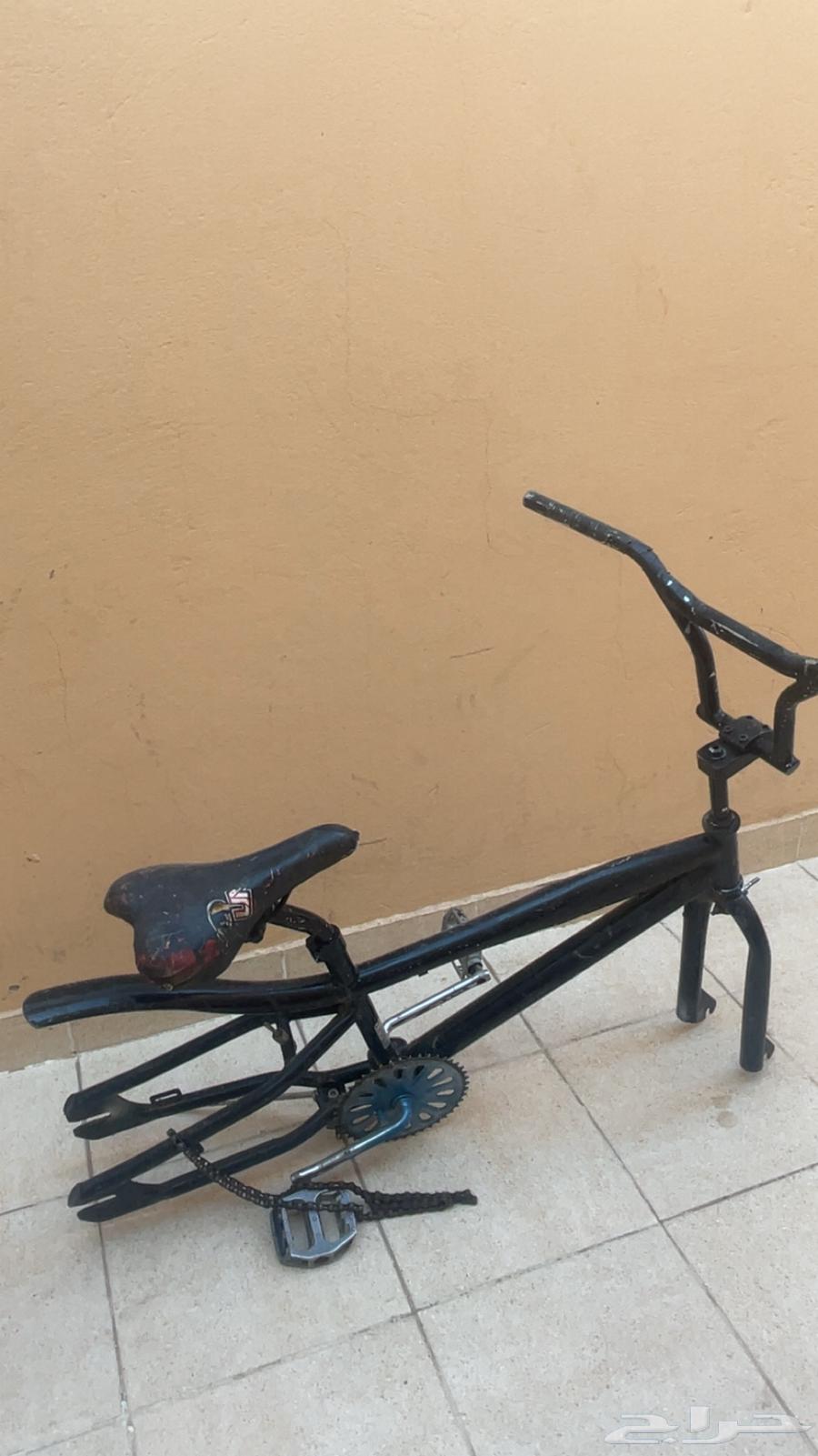 سيكل كوبرا للبيع64223174605954111