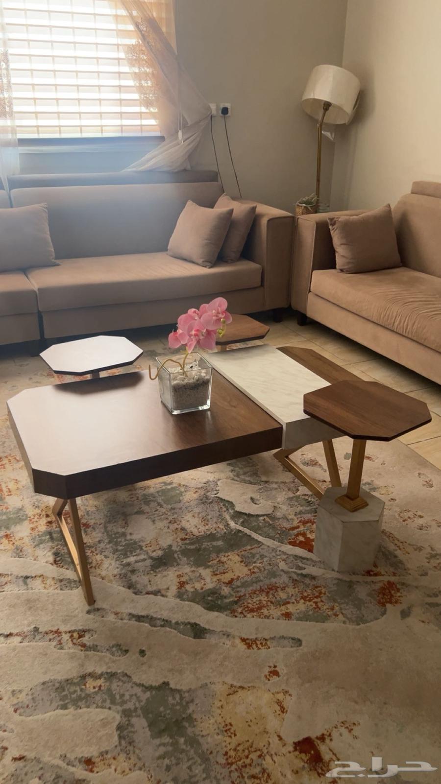 Clean sofa for sale with cushions and tables64222319742849113