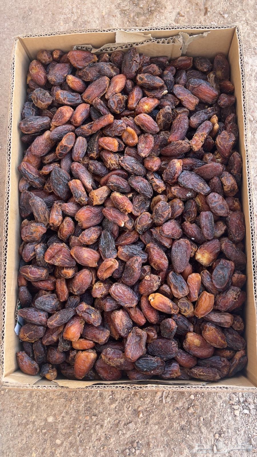 علف للبيع64220483306882111