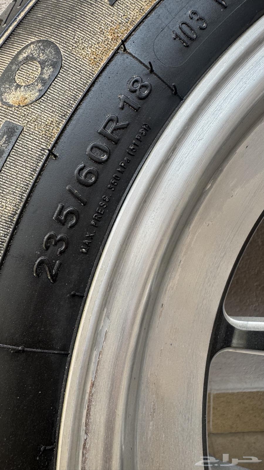 جنوط ويلد للبيع64401717056898112