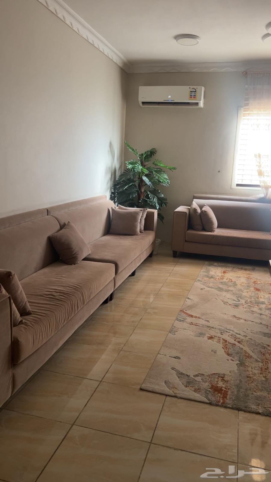 Clean sofa for sale with cushions and tables64222319742849112