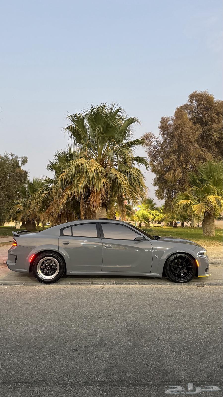 جنوط ويلد للبيع64401717056898113