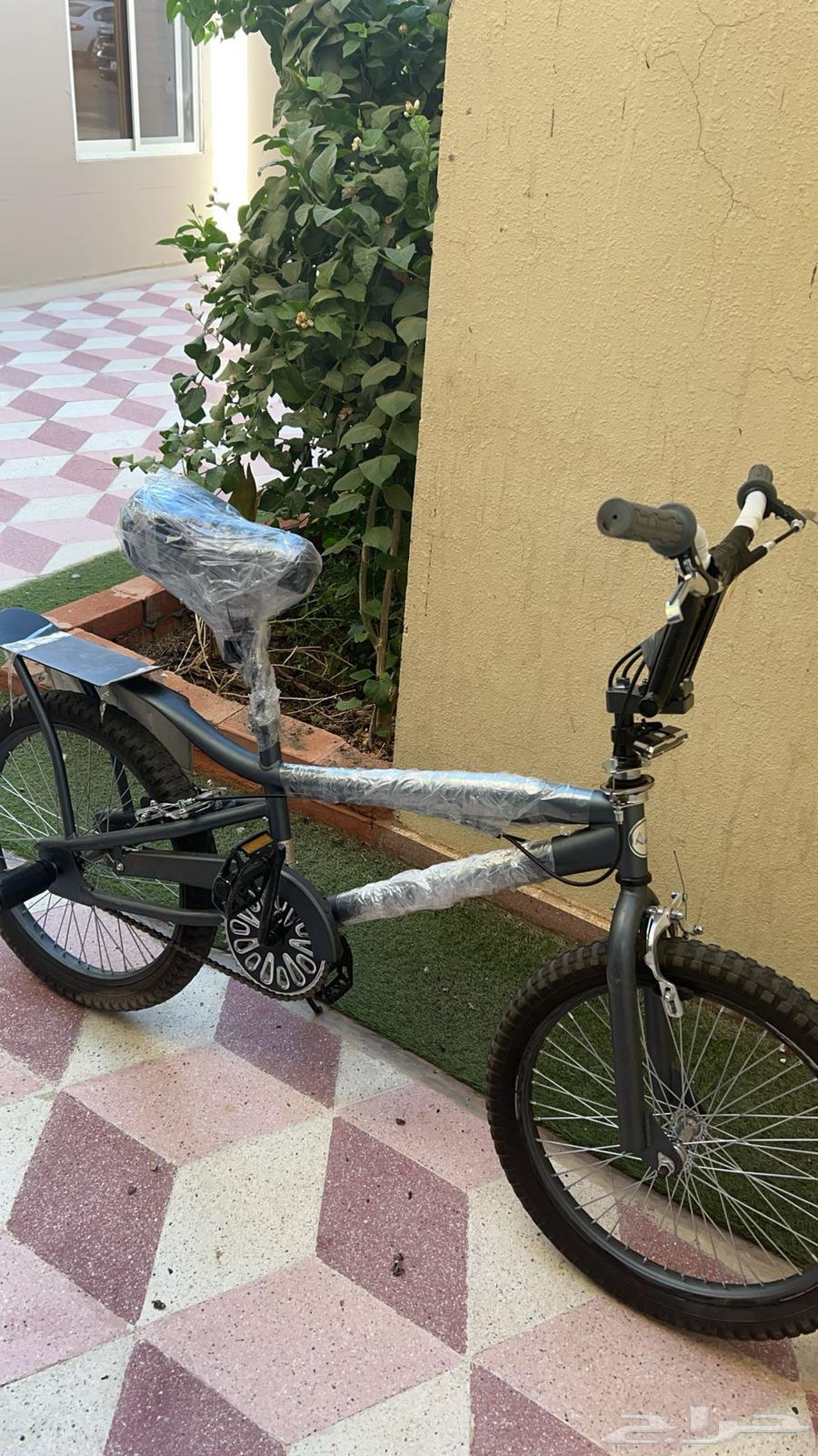 كوبرا للبيع حايل64407923157378111