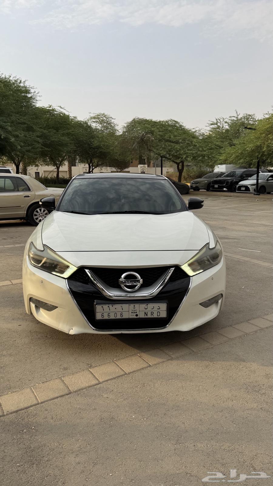 مكسيما SV للبيع64404958906753114