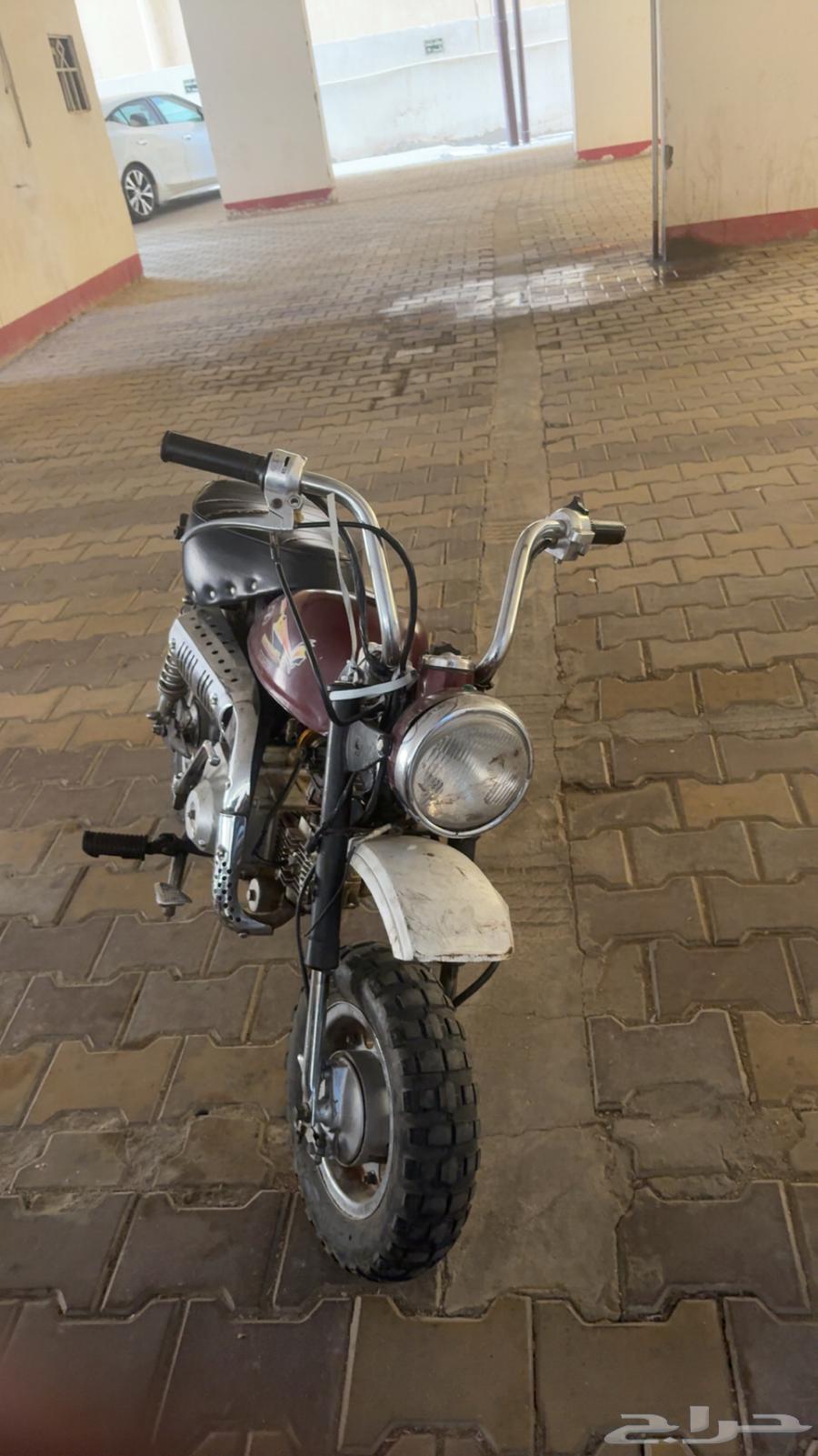 دباب جحش مقاس 5064398353619331113