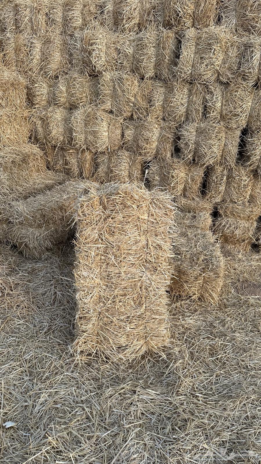 Wheat Straw64223152844161111