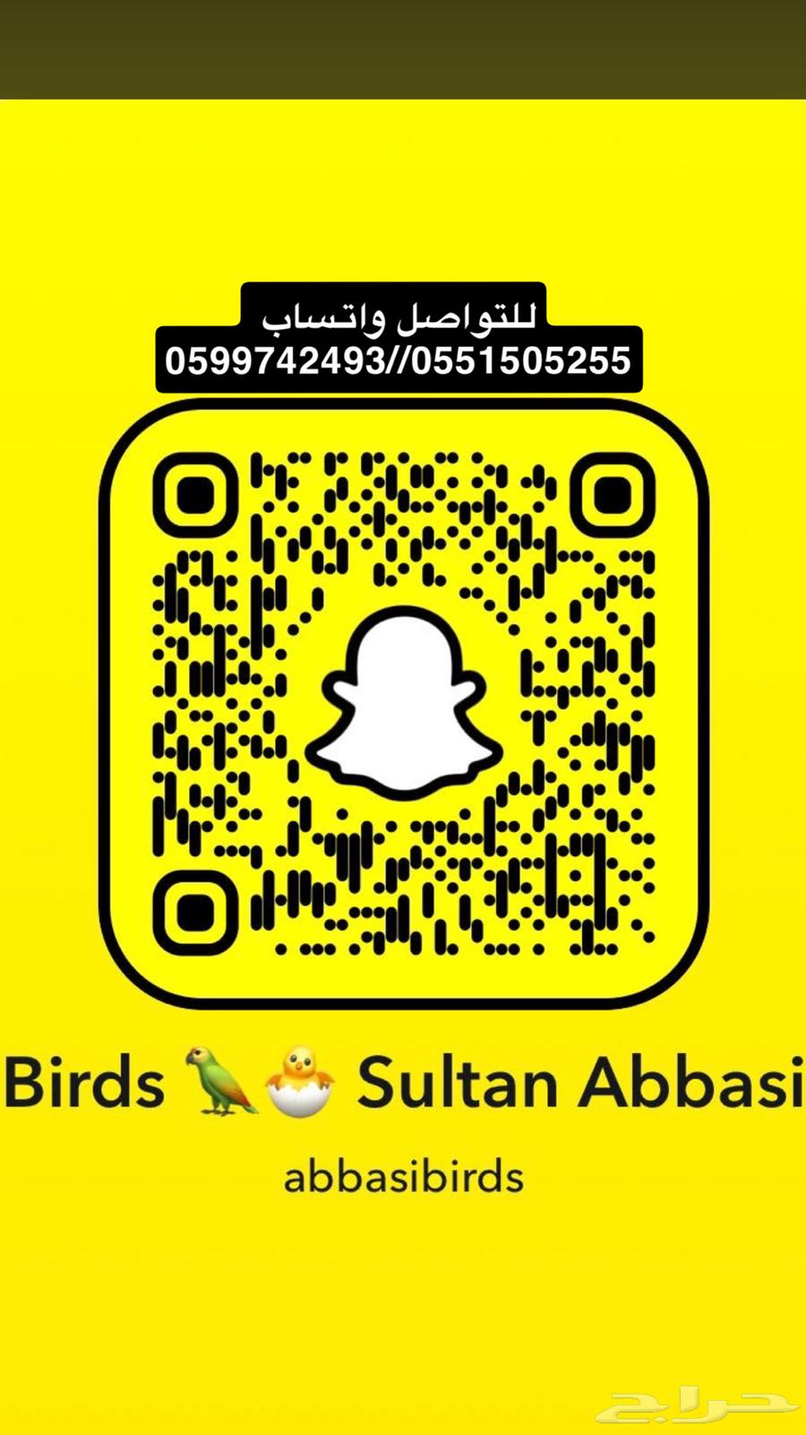 فرخ كاسكو اليف طفره تم البيع64227535585921111