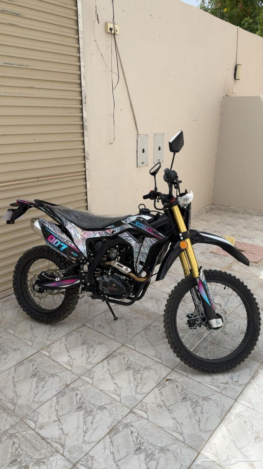 دباب صحراوي64406709844865112