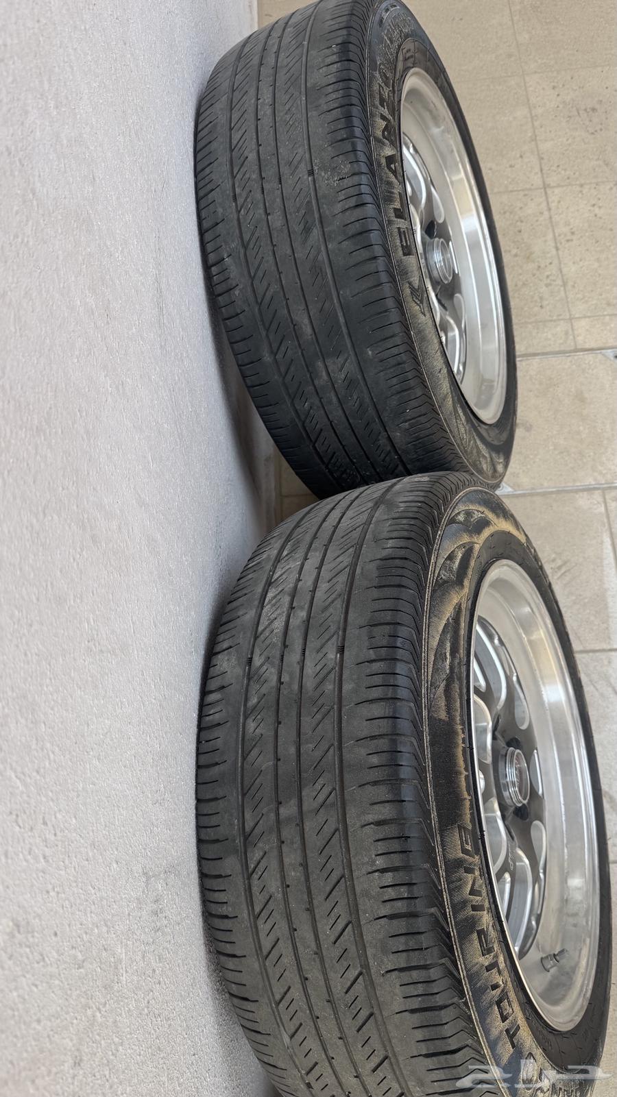 جنوط ويلد للبيع64401717056898111