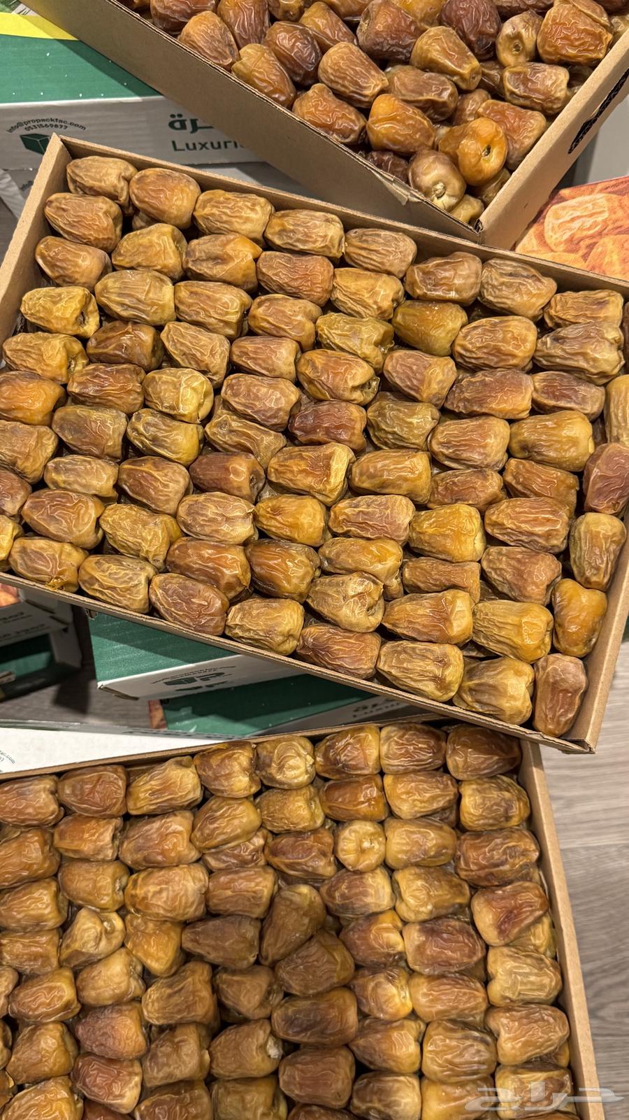 Sukkari Dates64229104805122111