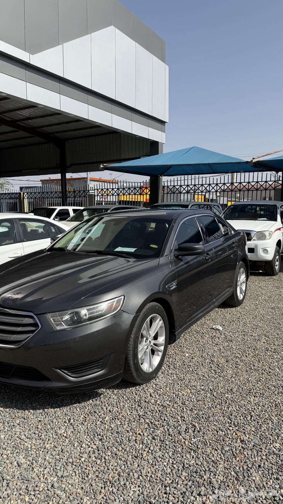 توروس 2019 ( معرض أمجاد الصقري )64397617177858110