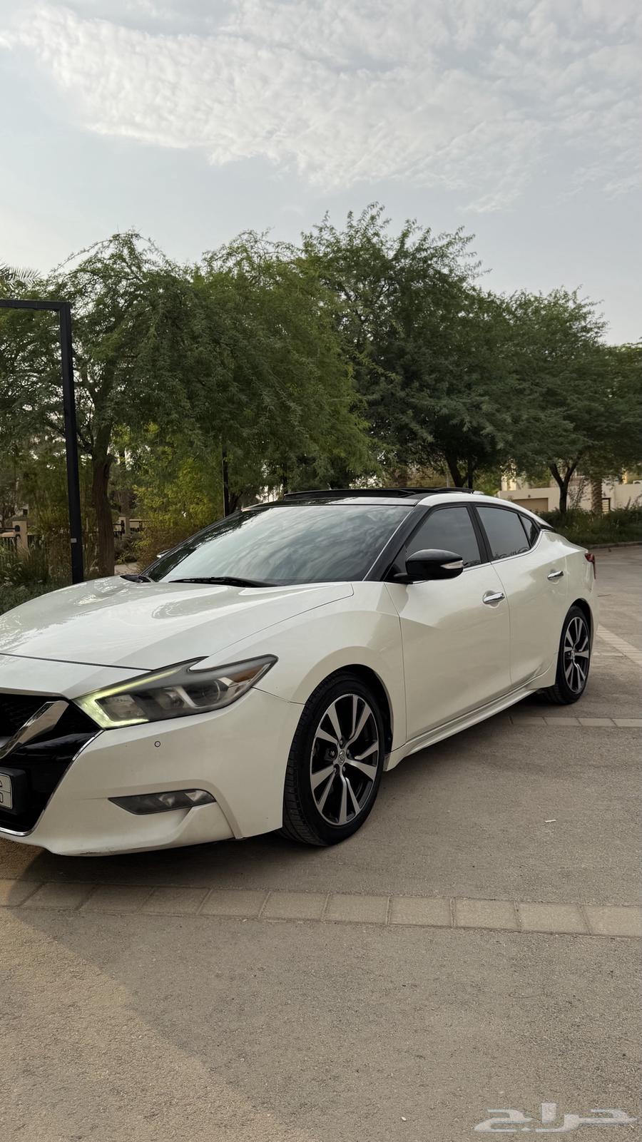 مكسيما SV للبيع64404958906753110