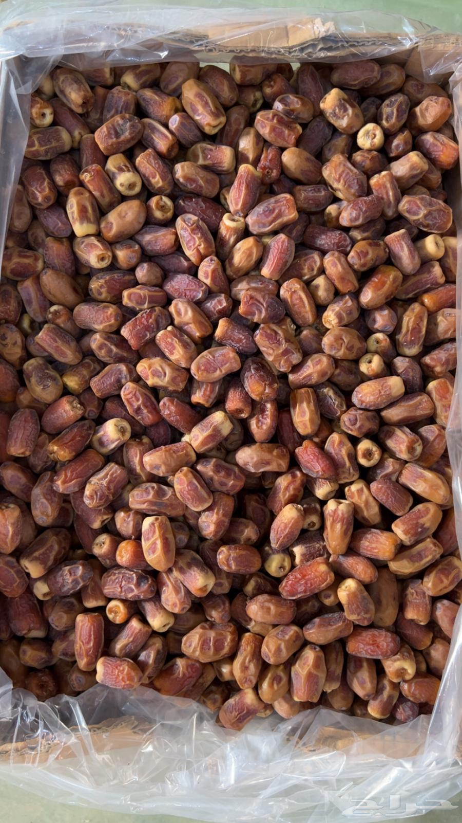 للبيع تمر صقعي64224246189569110