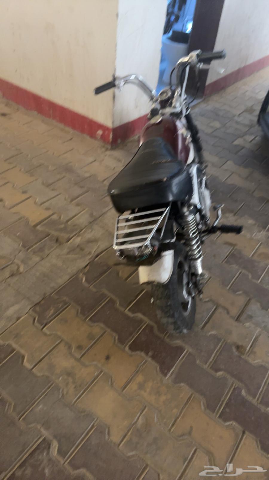 دباب جحش مقاس 5064398353619331111