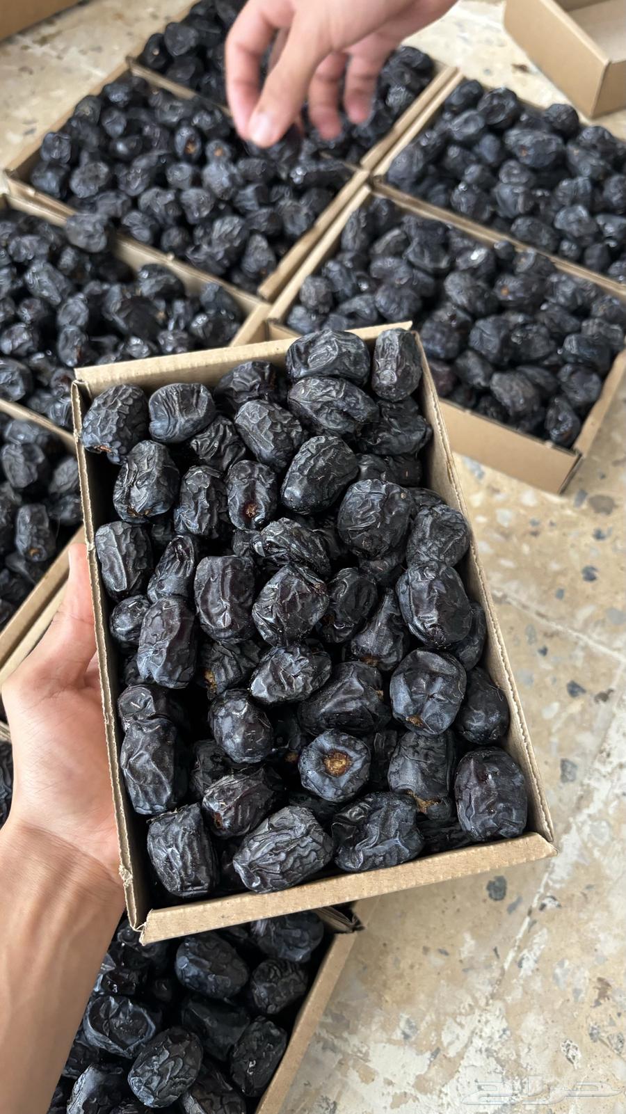 Soft Ajwa Dates for Sale, This Summer's Production64228400289666110