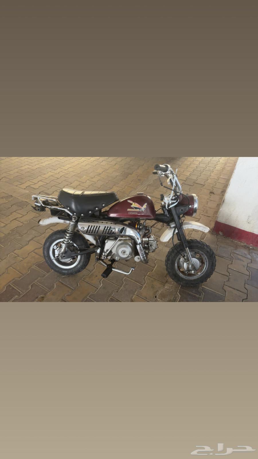 دباب جحش مقاس 5064398353619331112