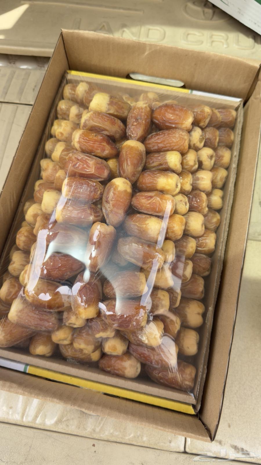 صقعي معرم مطوق فاخر وزن 6 كيلو64217290730497110