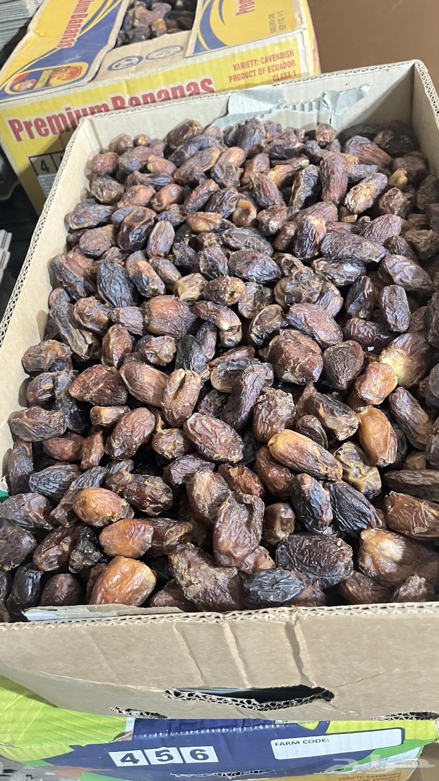 علف للبيع64220483306882112