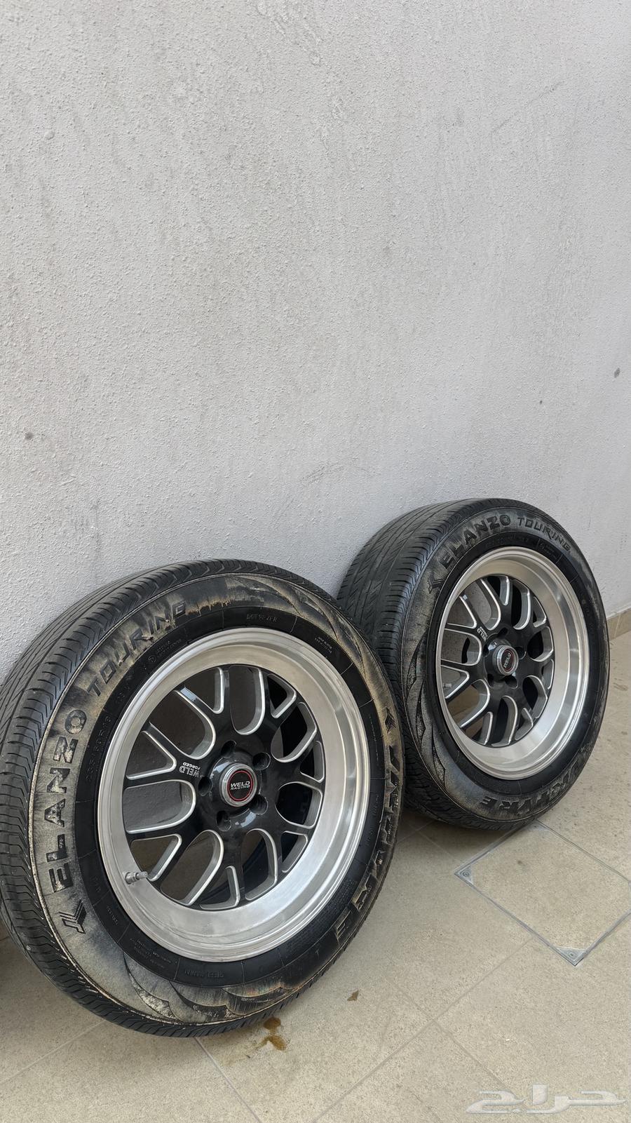 جنوط ويلد للبيع64401717056898110